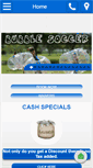 Mobile Screenshot of houstonbubble.com